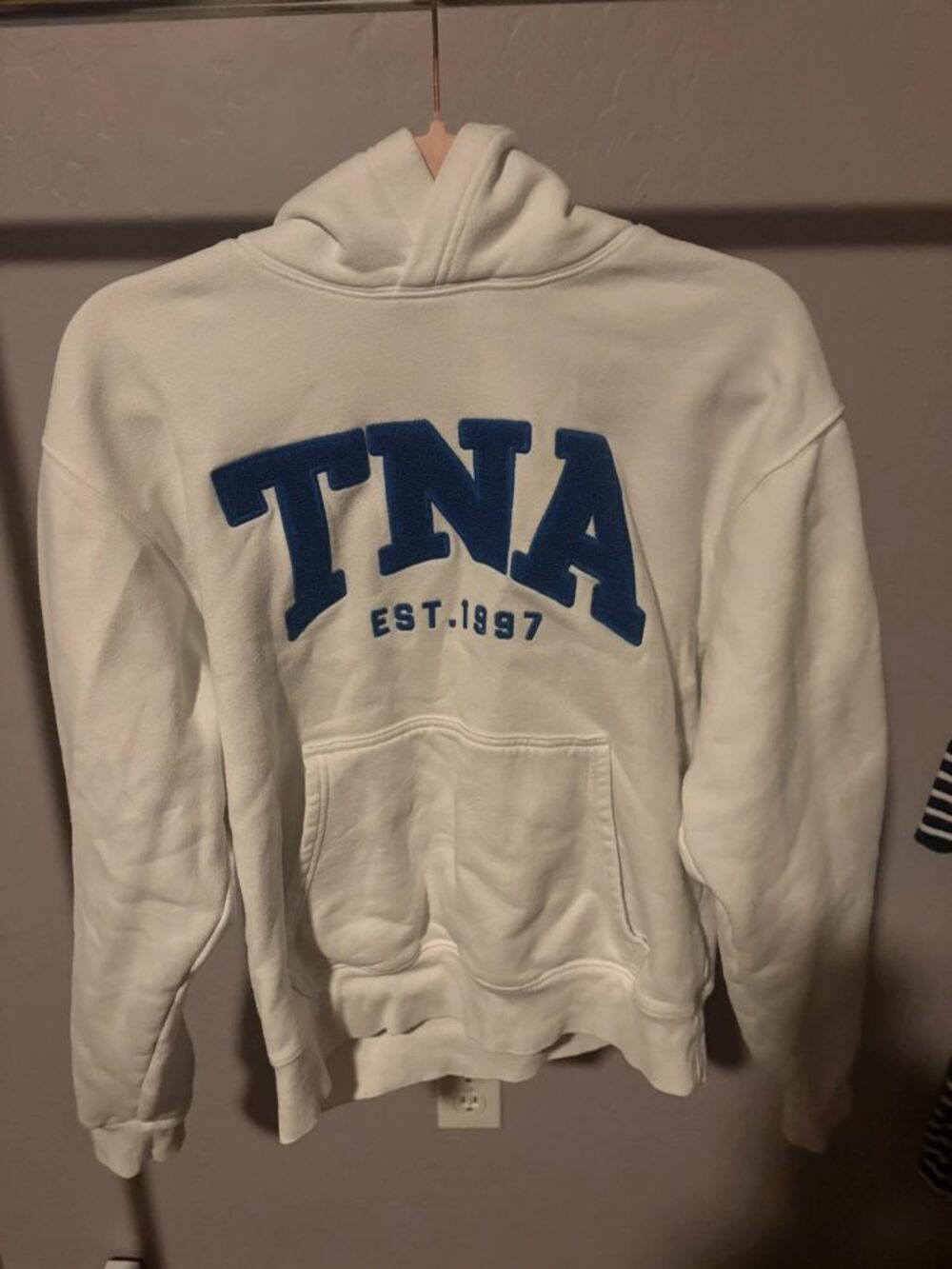 TNA Aritzia hoodie